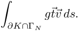 \[\int_{\partial K \cap \Gamma_N} g \vec{t} \vec v \, ds. \]